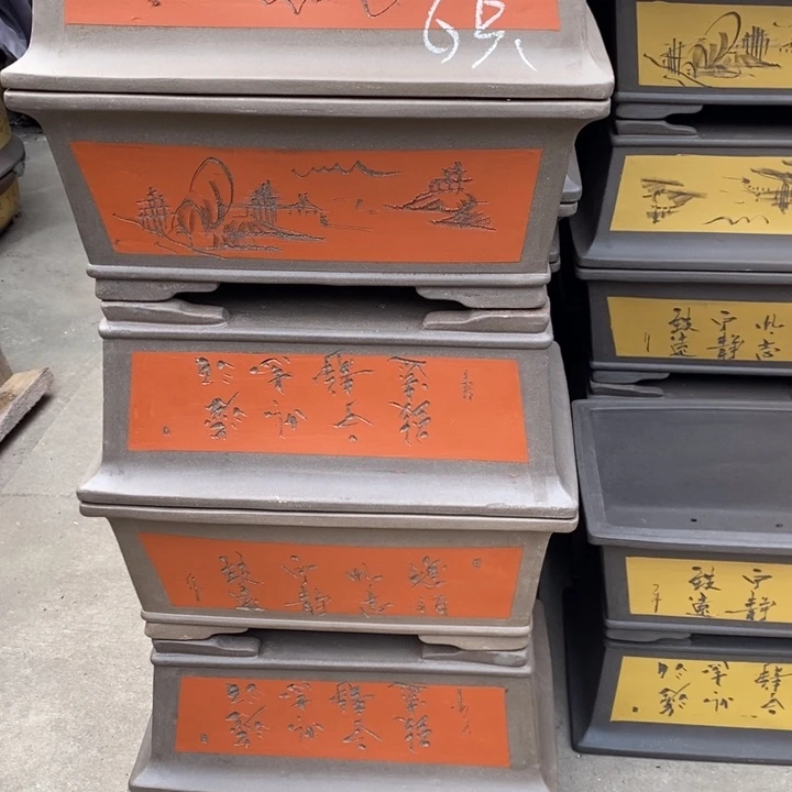 花盆紫砂只顾看电视