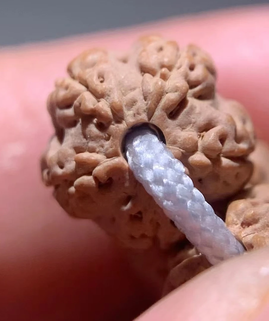 毕业级花王金刚菩提单圈手持