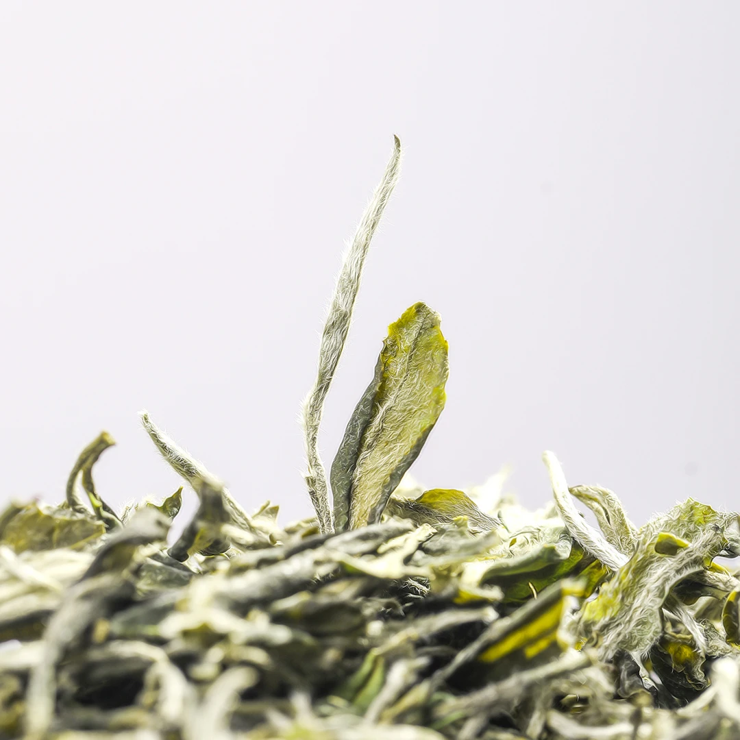 白牡丹 福鼎白茶  甜度高已转化花香水甜清醇爽口