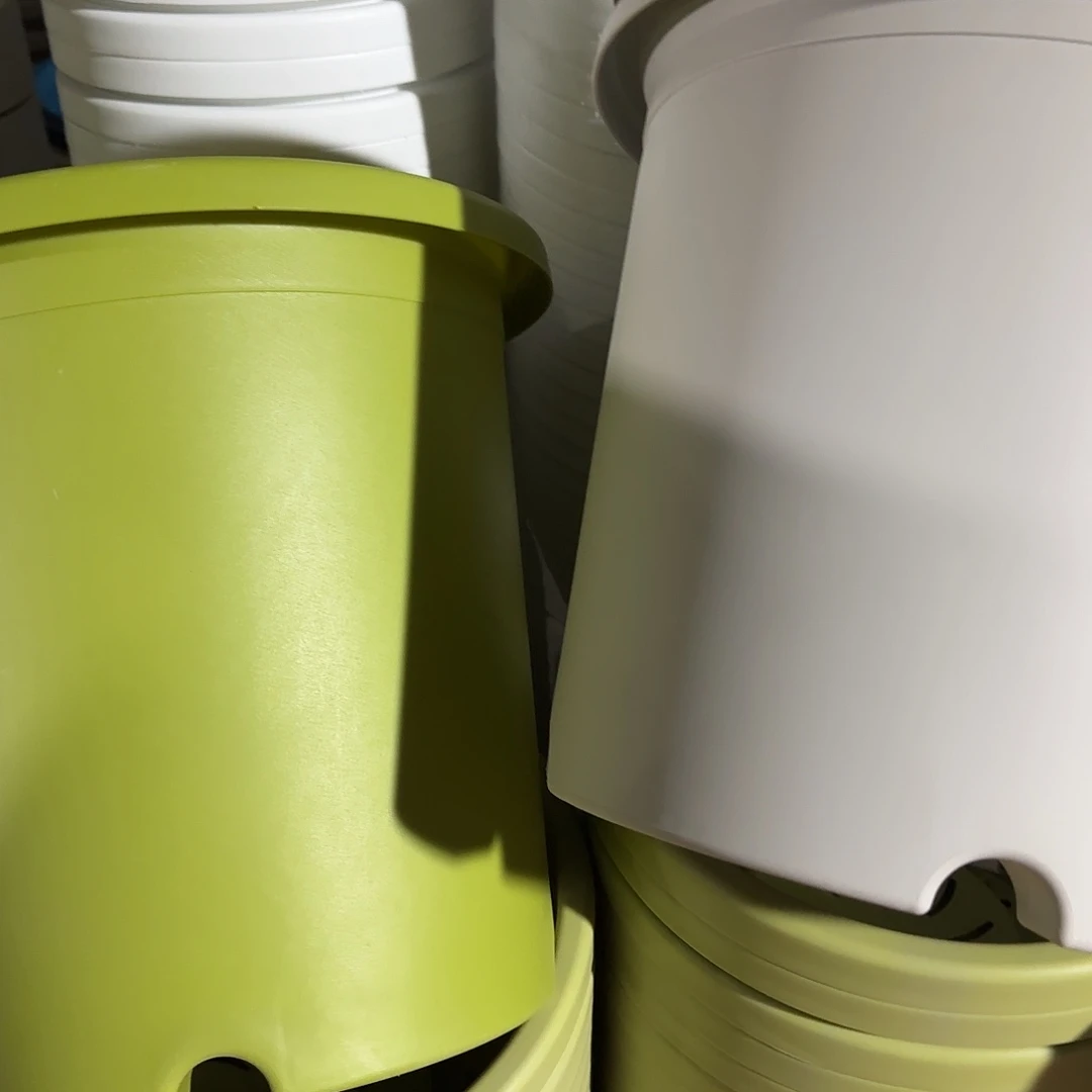 树脂四季6号无托7个果绿微瑕