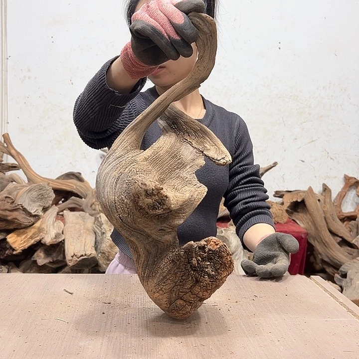 柏木X****森我们都是好孩子