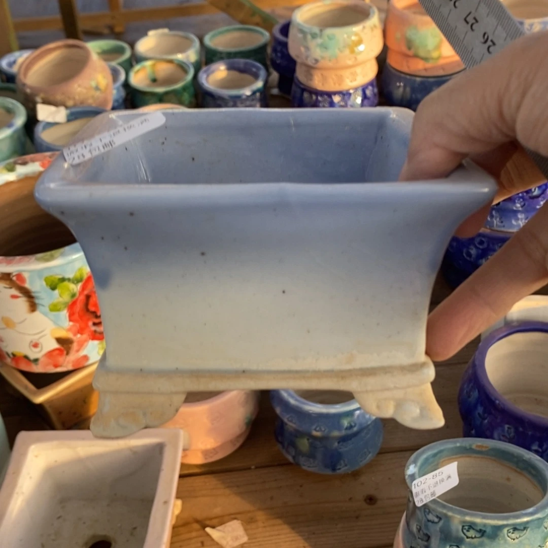 86号多肉盆口径10