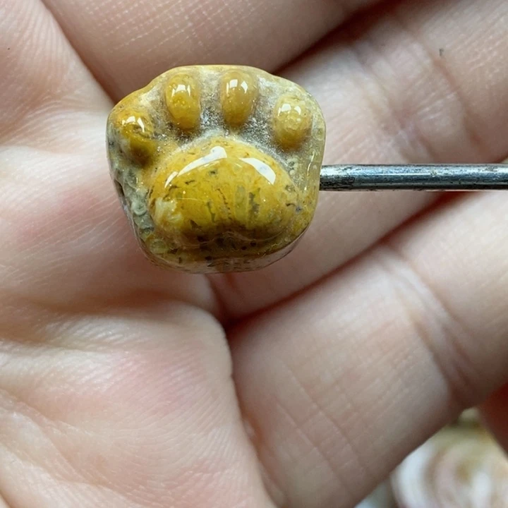 颈饰未镶嵌硅化珊瑚（珊瑚玉）小