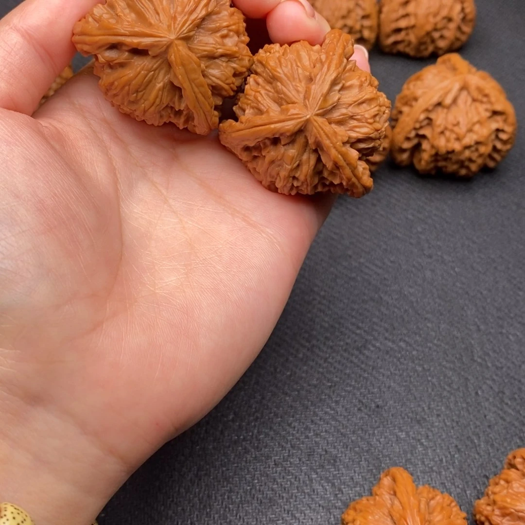 用****0白狮子111111111