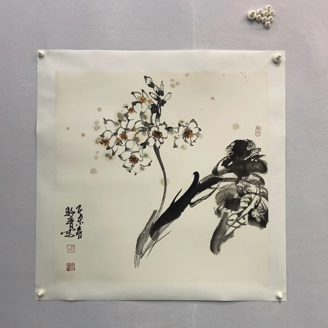 国画墨鱼精品墨鱼精品