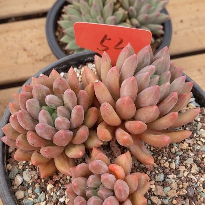 王*军这个点睡起来了好开心