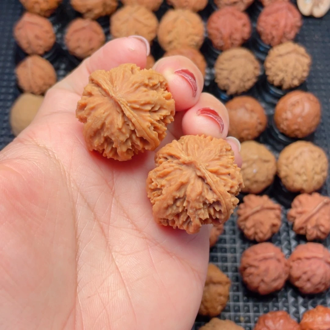 【闪购商品】把件文玩核桃白****头霸王龙绣球
