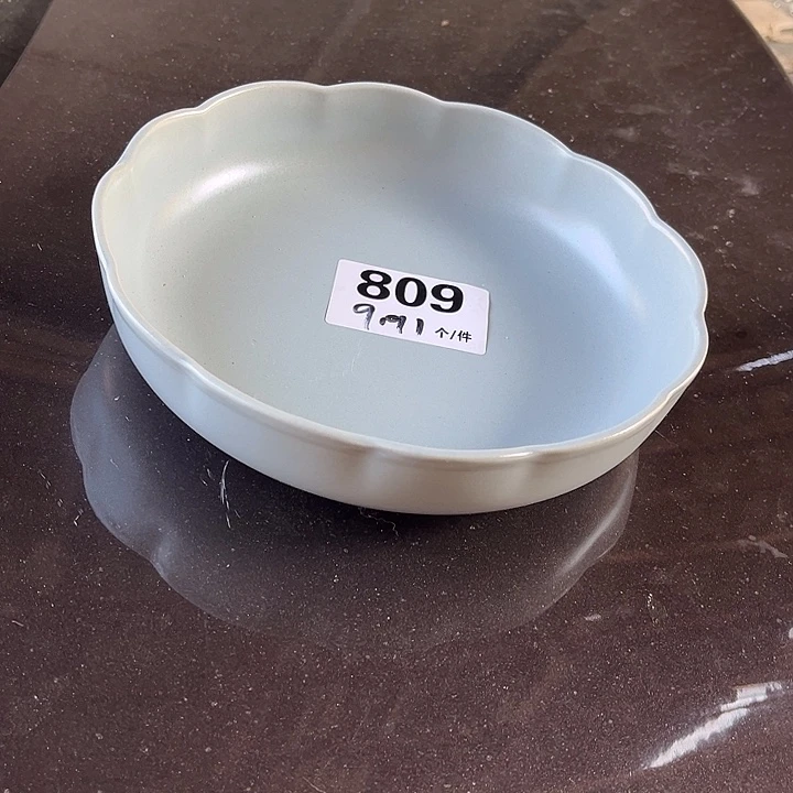 瓷微瑕外贸餐具809