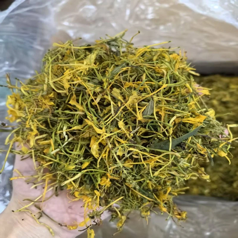 【阿峰推荐】金银花