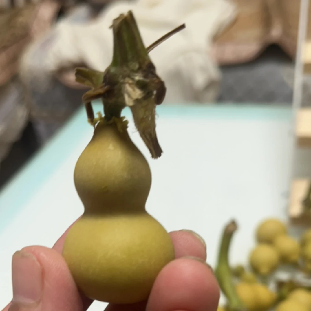 手把葫芦，汽车摆件装饰，手把件