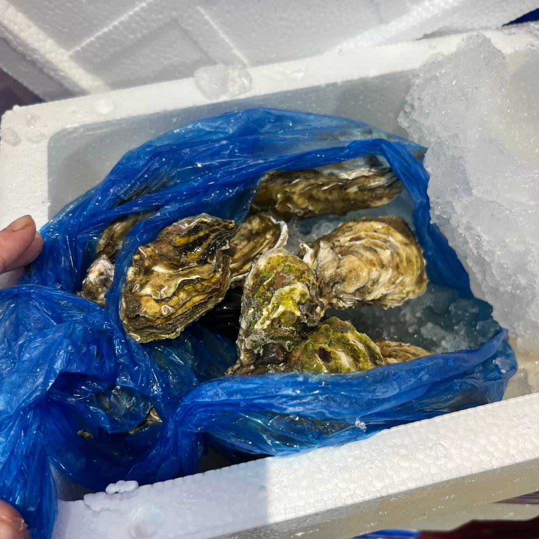 【一箱】生蚝13个左右哈密瓜