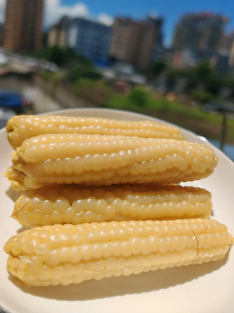 西双版纳傣家拇指小玉米