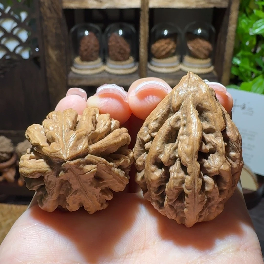 文玩核桃把件蝴蝶豆火