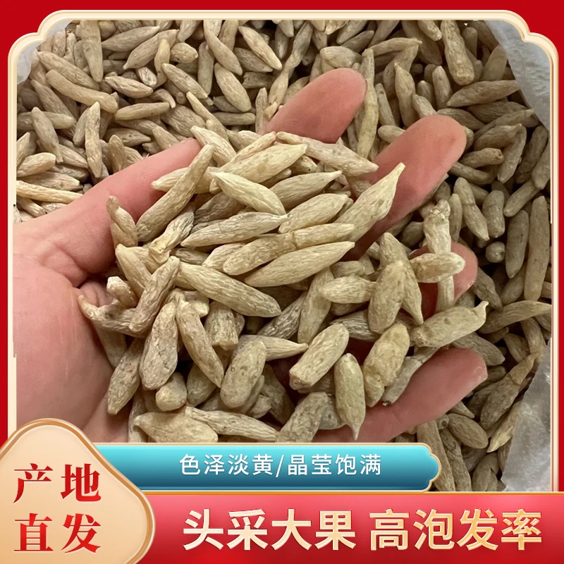 小梁村官推荐家乡广南高寒地区下山货麦冬