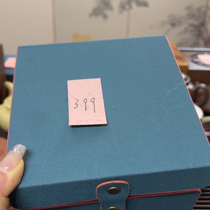 紫砂茶壶（****天宜兴紫砂文化艺术