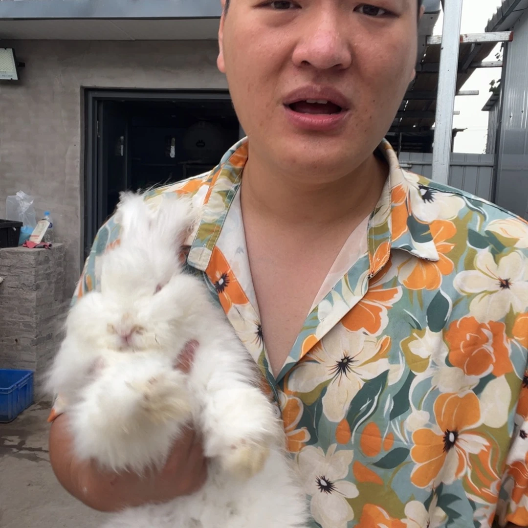1111111111111宠物
