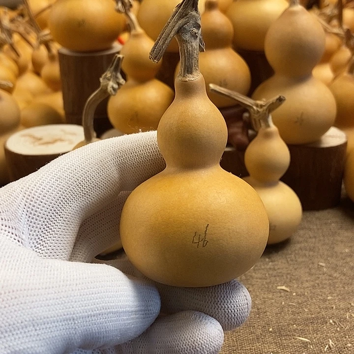 文玩葫芦 完美主义者 慎拍46