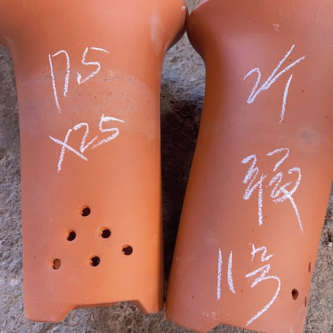 紫砂11号，…………………………