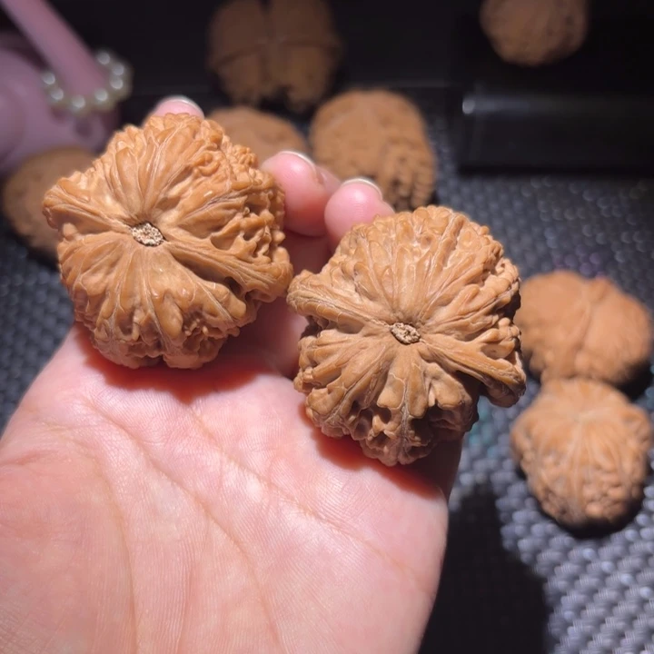 墨***隐核桃粗筋全品45尺寸全品