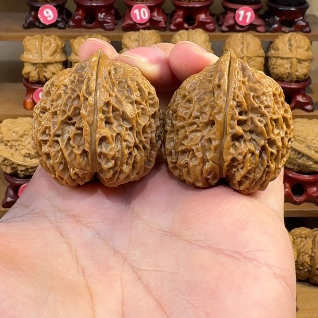 铁核桃把件粗筋臻龙