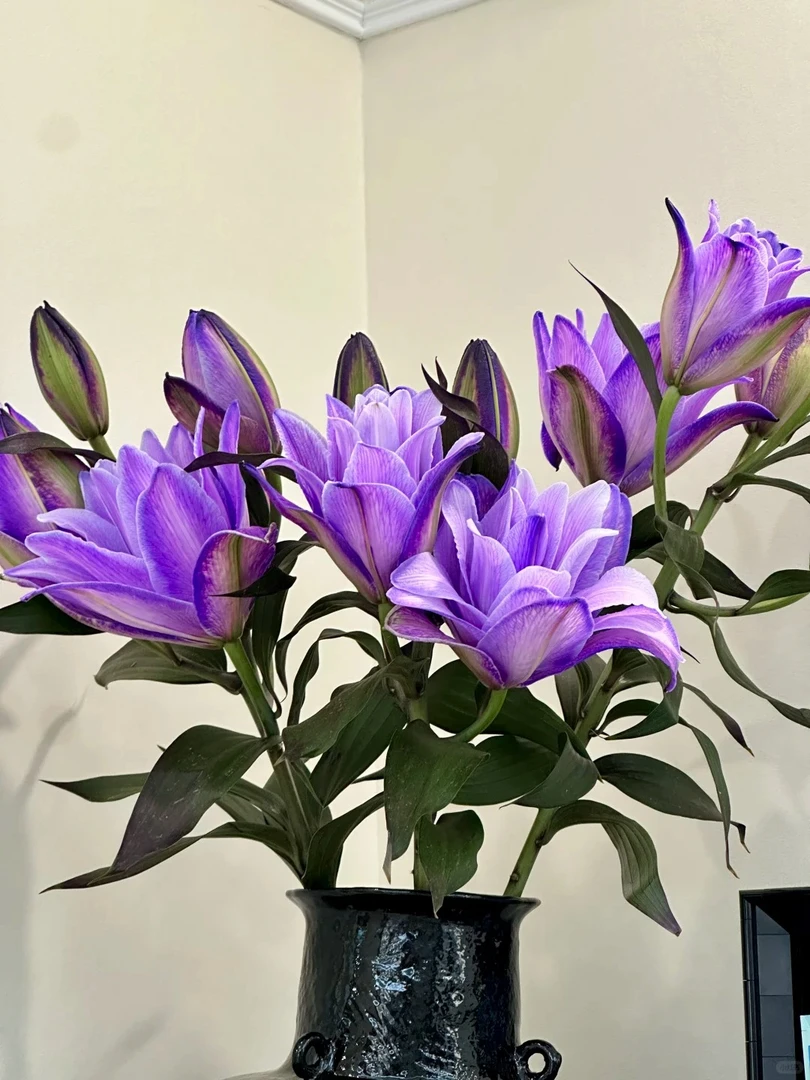 【源头优选】幽梦重瓣香水百合 任意2单鲜花包邮 发货后不支持退款