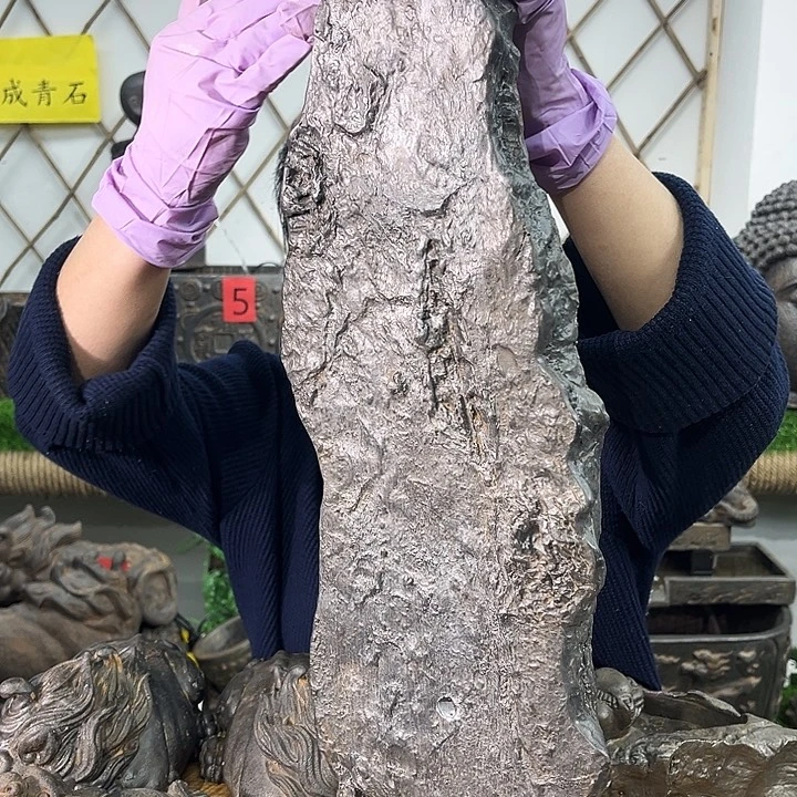 40长版单板子一个