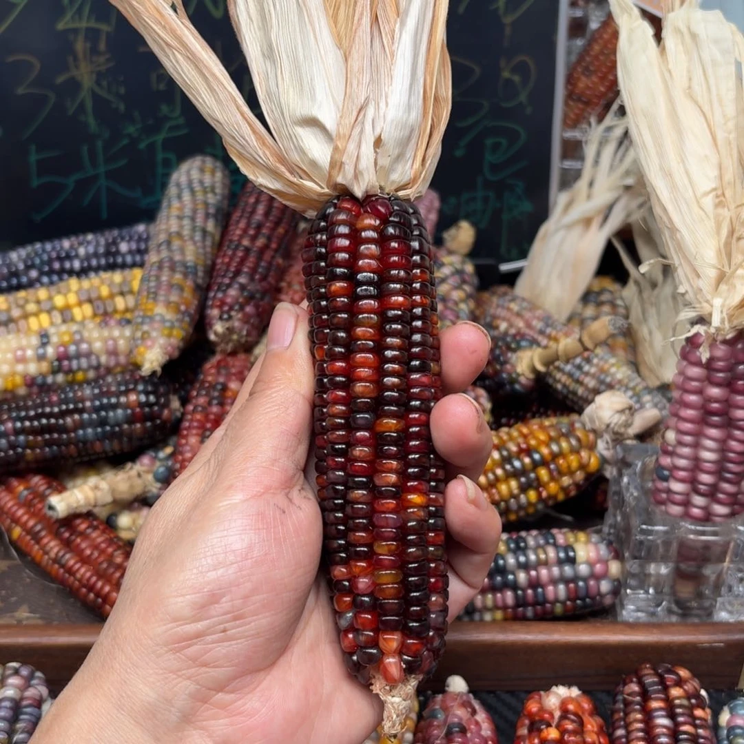 柏香籽/百香籽吊坠喵**鱼