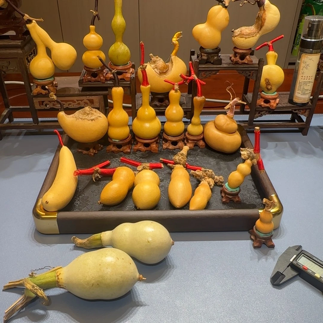 中***6葫芦啊啊啊啊啊啊啊啊啊啊啊啊啊啊啊