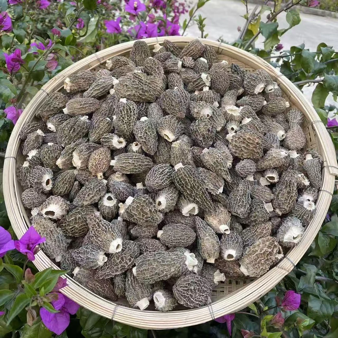 云南土特产 现收山货 深山草莓羊肚菌