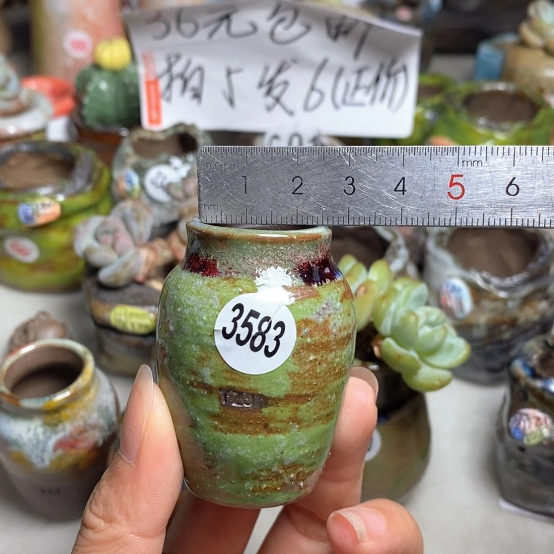 知**乐拍5送一个小礼物