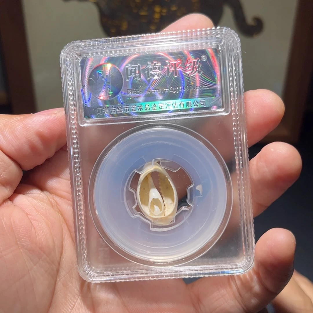 铜贝币古珍福利77777777