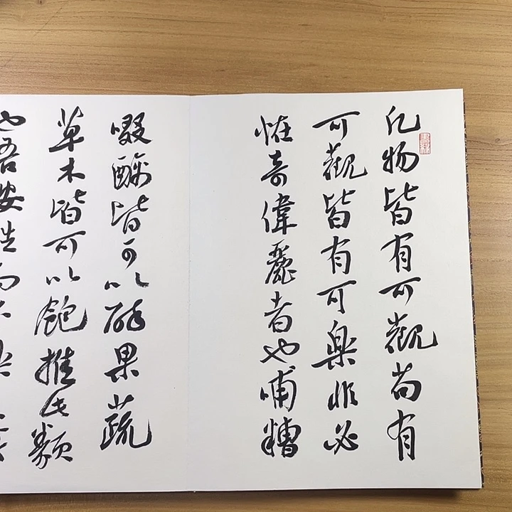 书法中书协会员作品