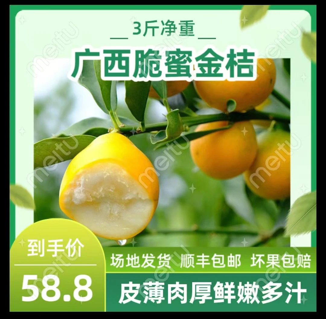 脆蜜金桔，无涩、果肉脆甜爆汁、果皮、广西脆蜜金桔清甜三代大果