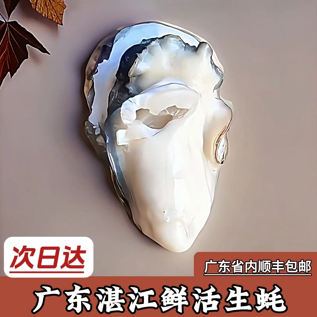 湛江生蚝鲜活顺丰10斤/5斤家庭装 免清洗 广东次日达 坏包赔