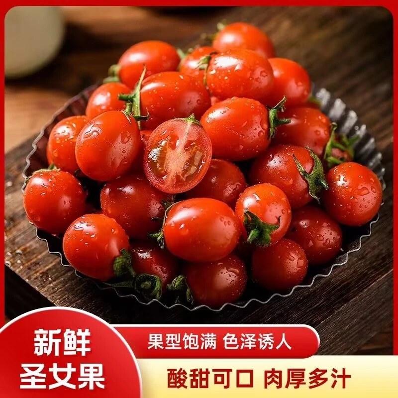 正宗广西圣女果（红果）小番茄产地直发新鲜采摘口口爆汁新鲜好吃