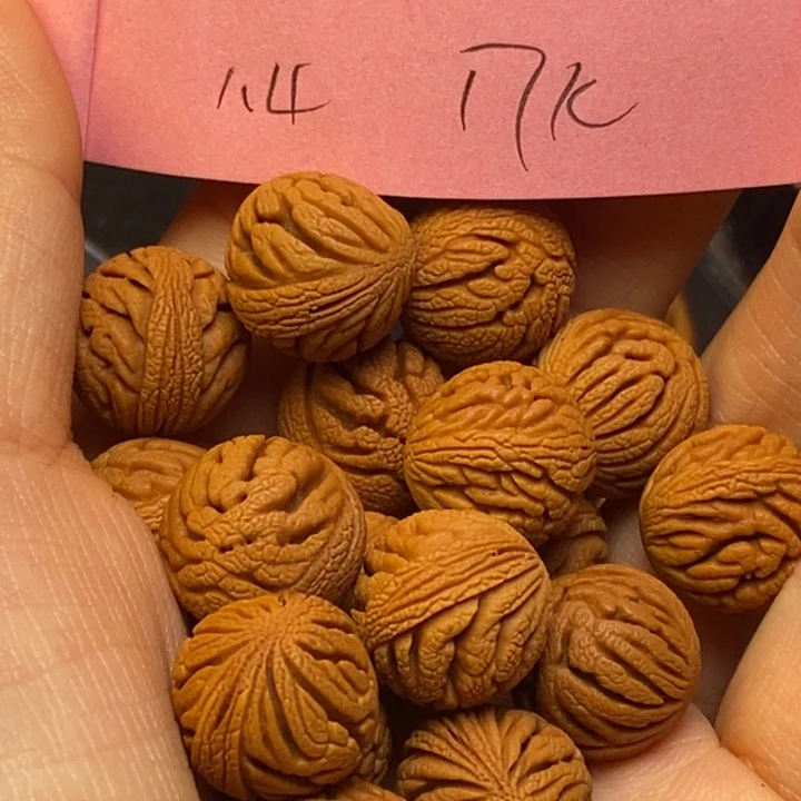 吊坠桃核秦岭龙纹桃核14尺寸