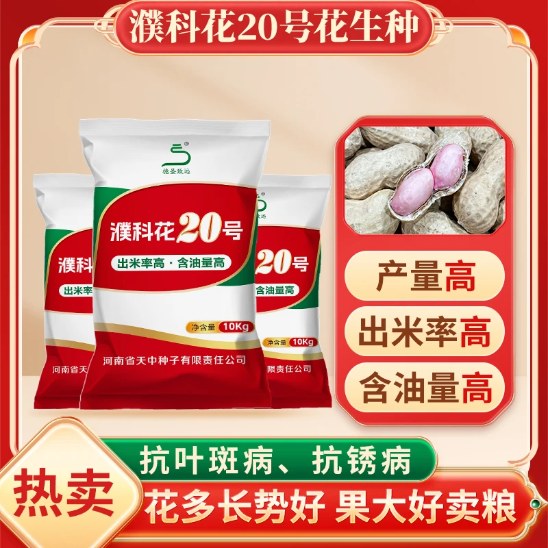 【10袋组合装】濮科花20号优质花生品种含油量高皮薄籽大抗叶斑病