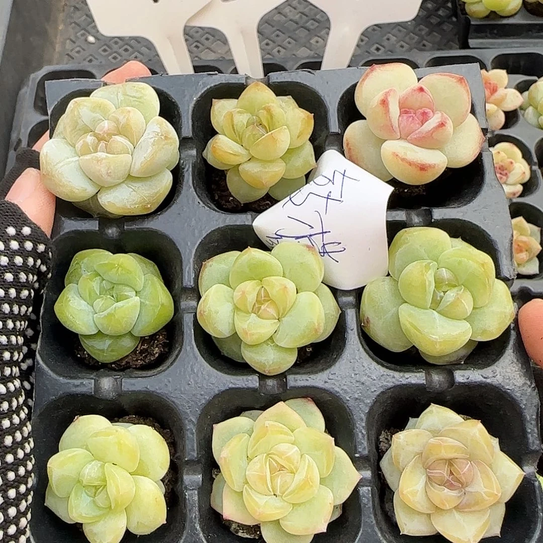 哈哈哈哈哈哈哈哈哈