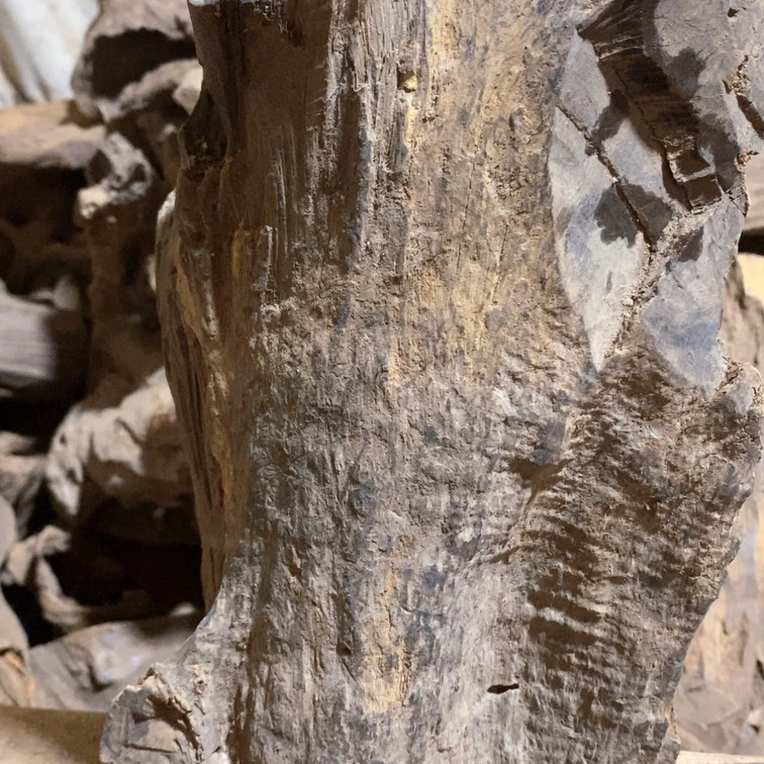 金***龙贡木把件1112111111