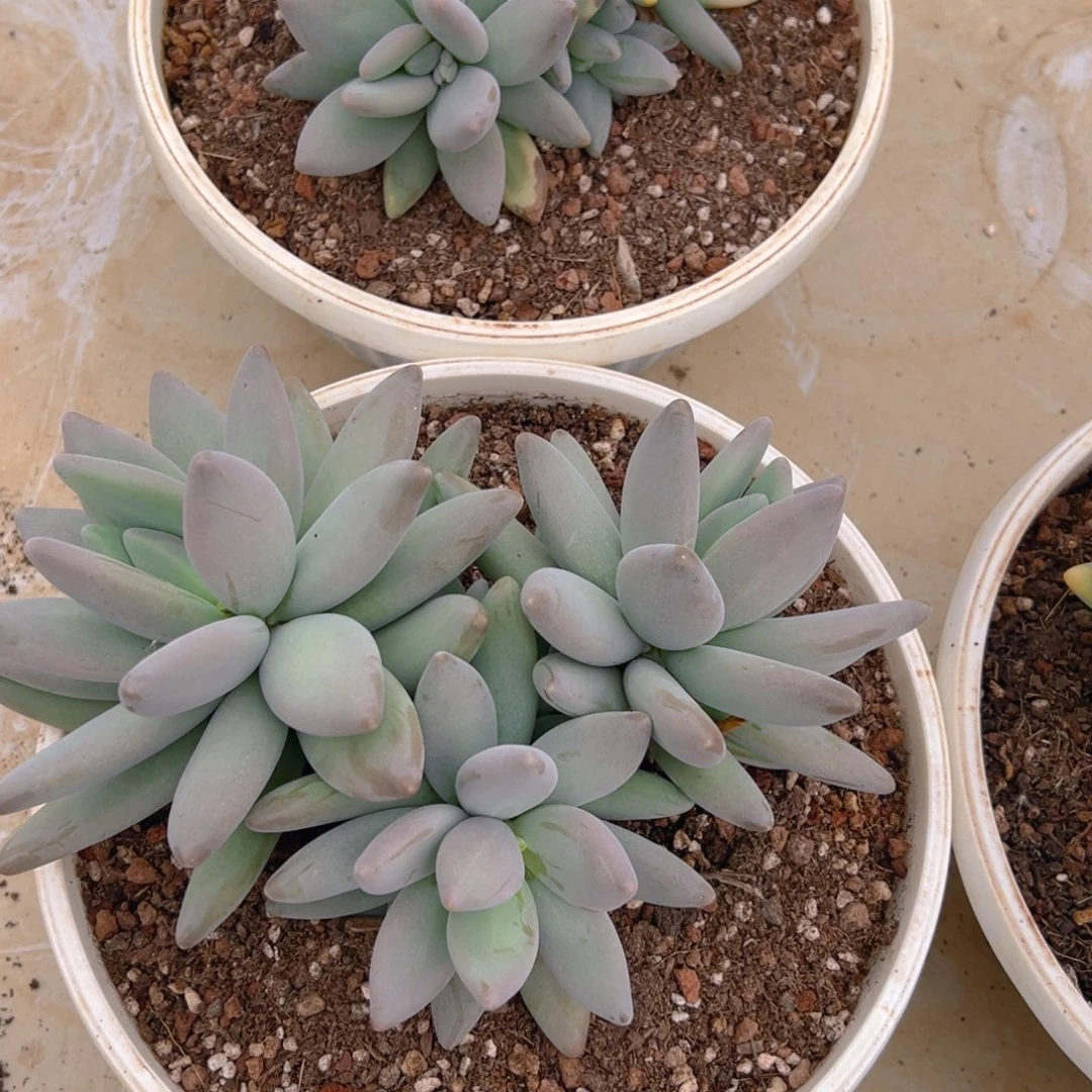 111111111111111111111