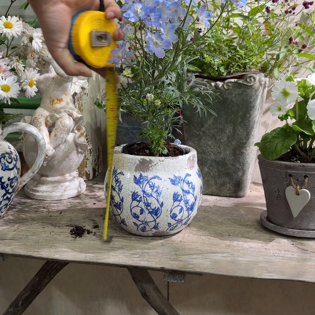 许纯的花房 青花 罐子小