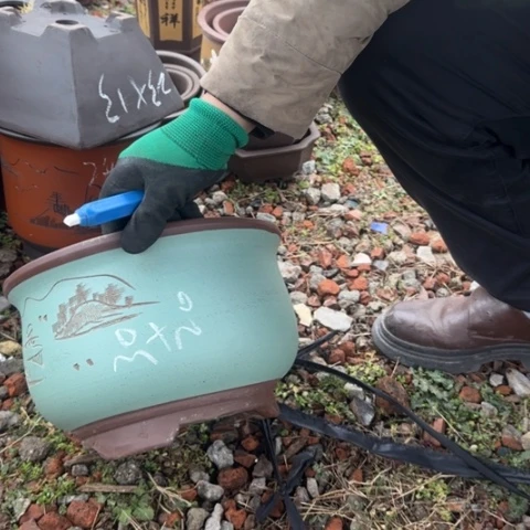 红陶紫砂花盆盆景盆栽