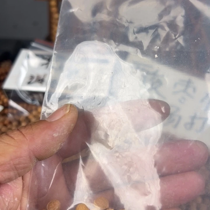 吊坠凤眼菩提文玩酸枣核