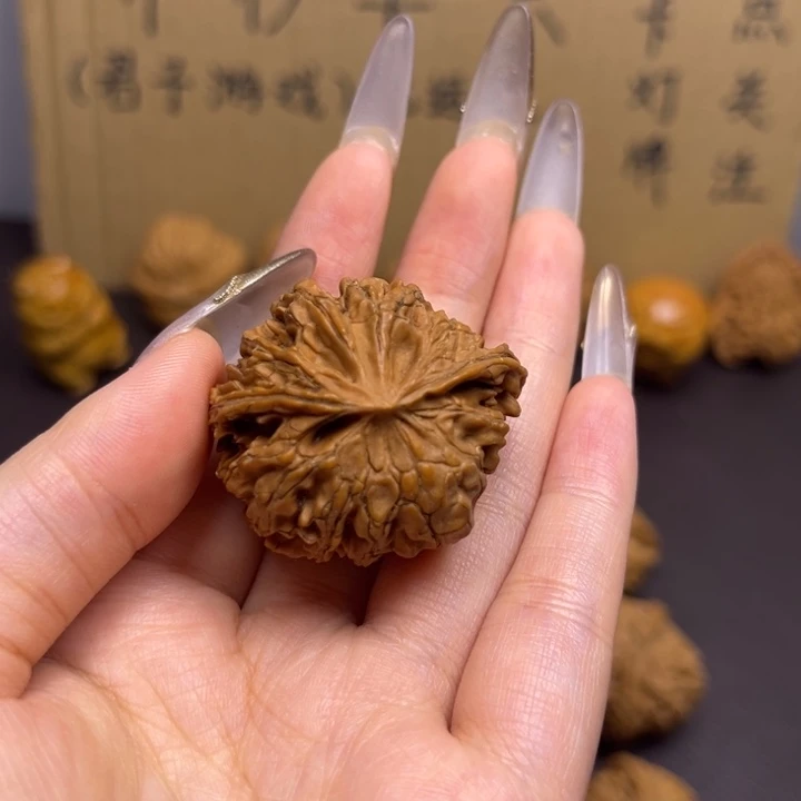 用***5菩提籽类蛇单只异型有瑕