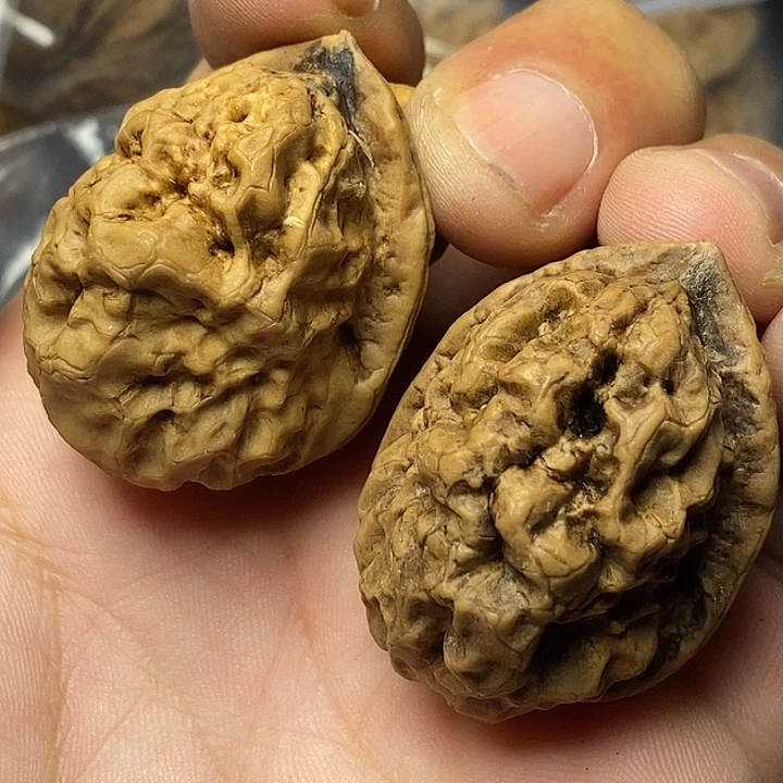 把件文玩核桃云南铁核桃15