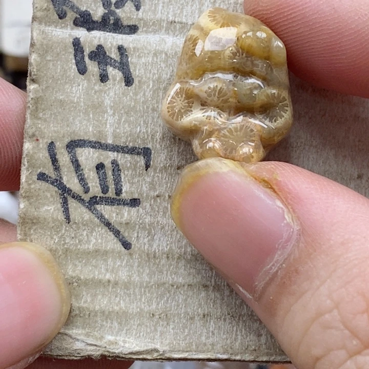 颈饰未镶嵌硅化珊瑚（珊瑚玉）￥****猫小