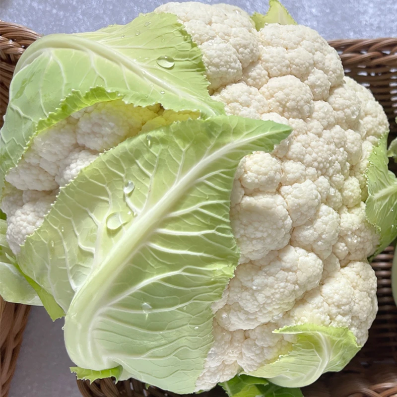 云南热卖白花花菜新鲜包邮紧实蔬菜农家农家菜花椰菜自种现发包