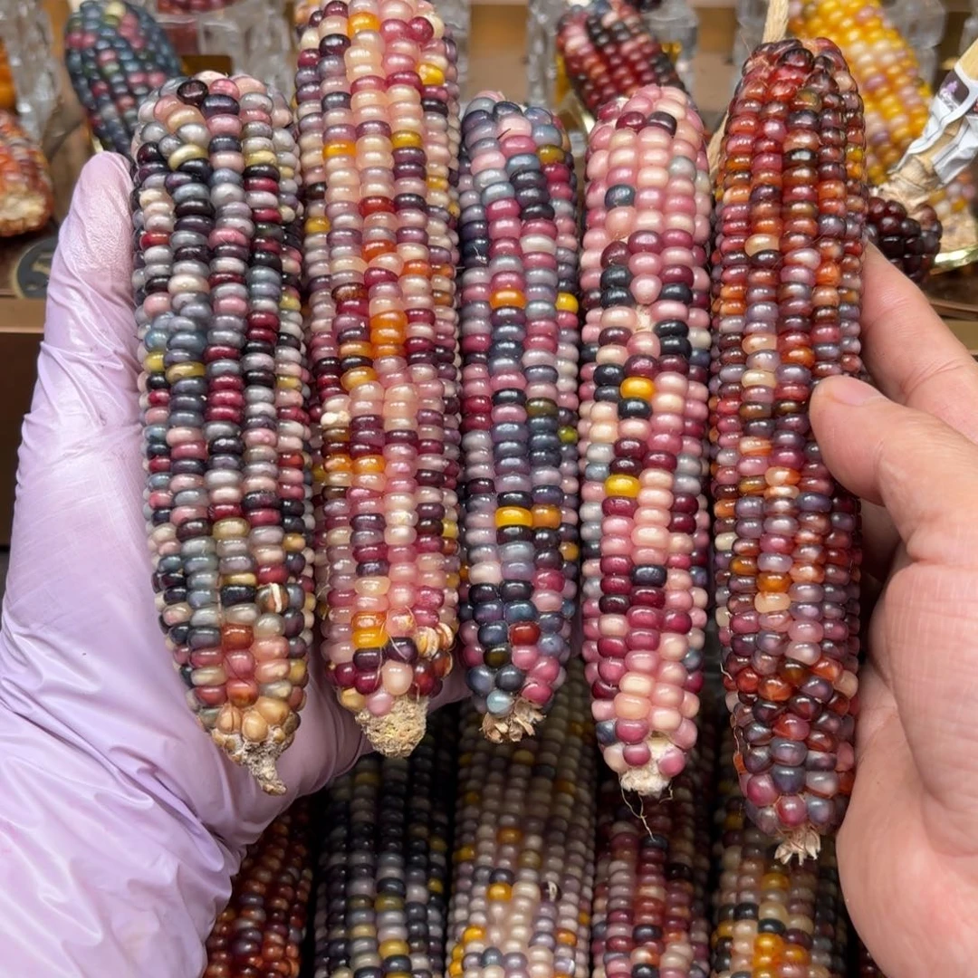 柏香籽/百香籽吊坠9*