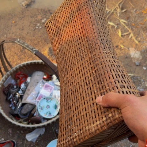 杂色豆（科檀/科特迪瓦檀木）敖**花