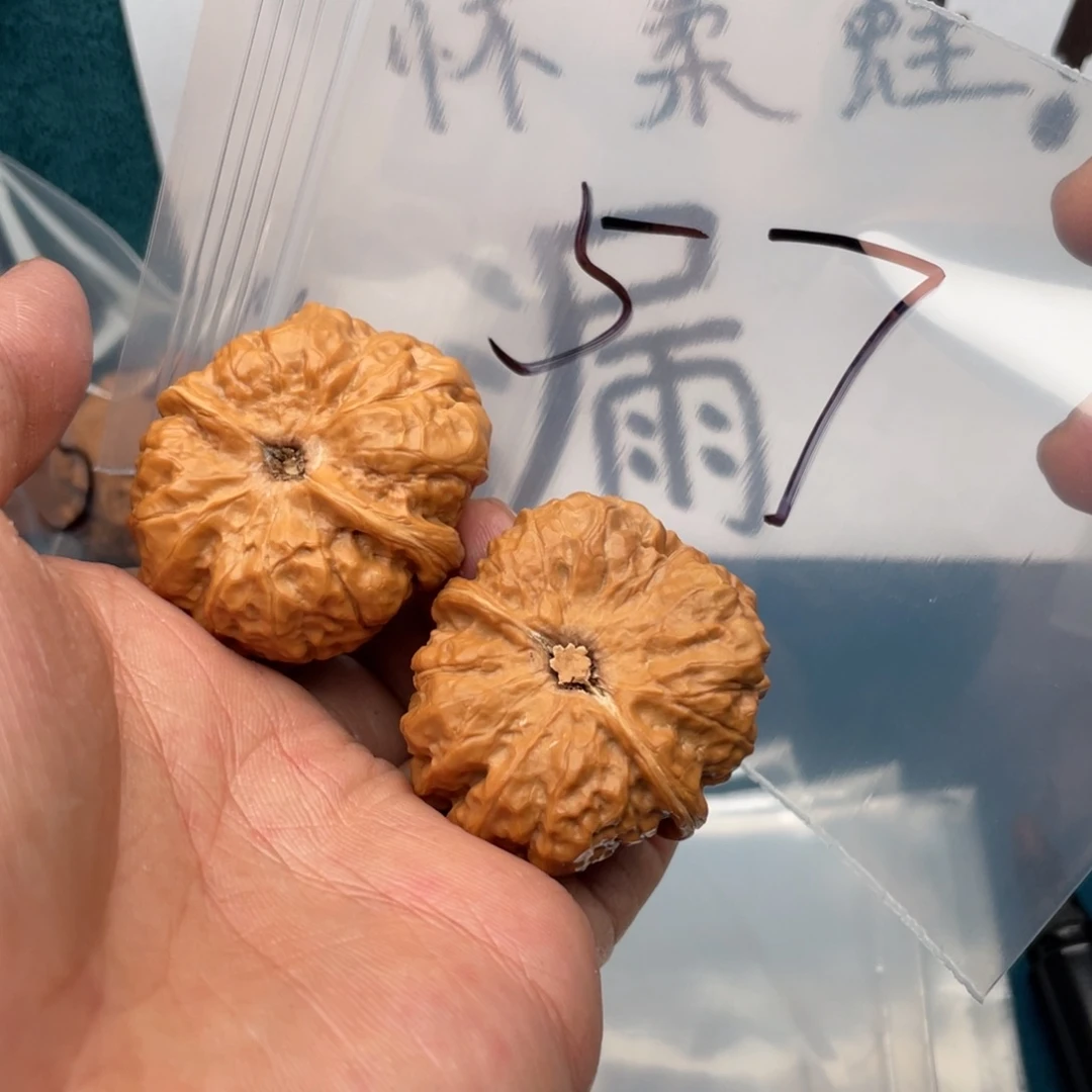 核桃手串/手链W946468649684469